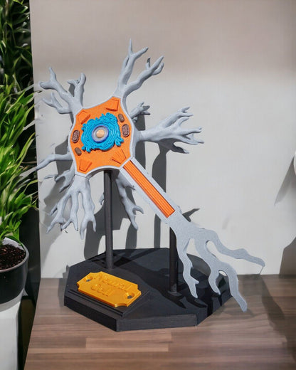 Neural educational model