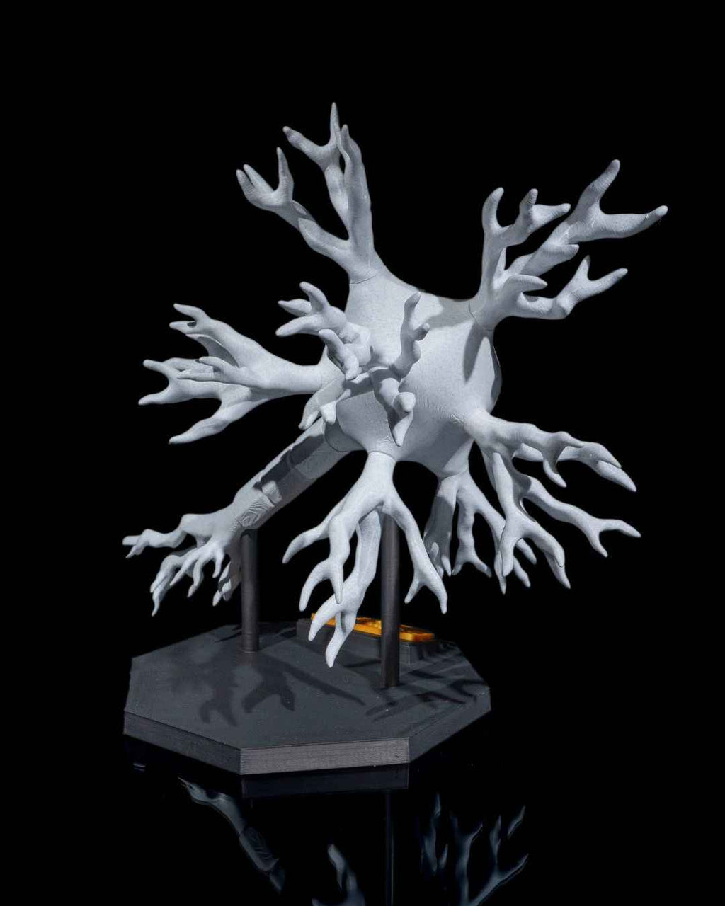 Neural educational model - Myth & Motion by The Braysdown Workshop