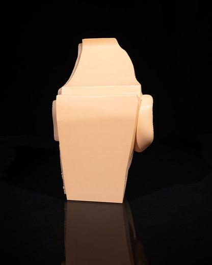 Nose & Sinus educational model