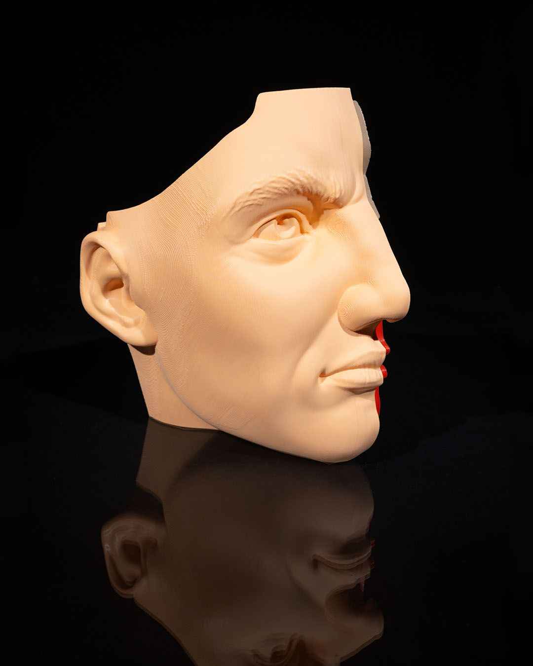 Nose & Sinus educational model - Myth & Motion by The Braysdown Workshop