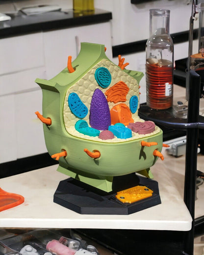 Plant Cell educational model