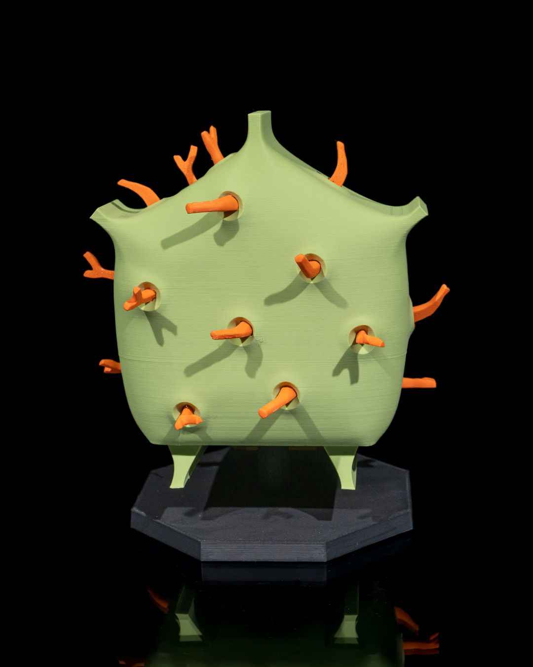 Plant Cell educational model - Myth & Motion by The Braysdown Workshop