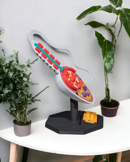 Sperm Cell educational model