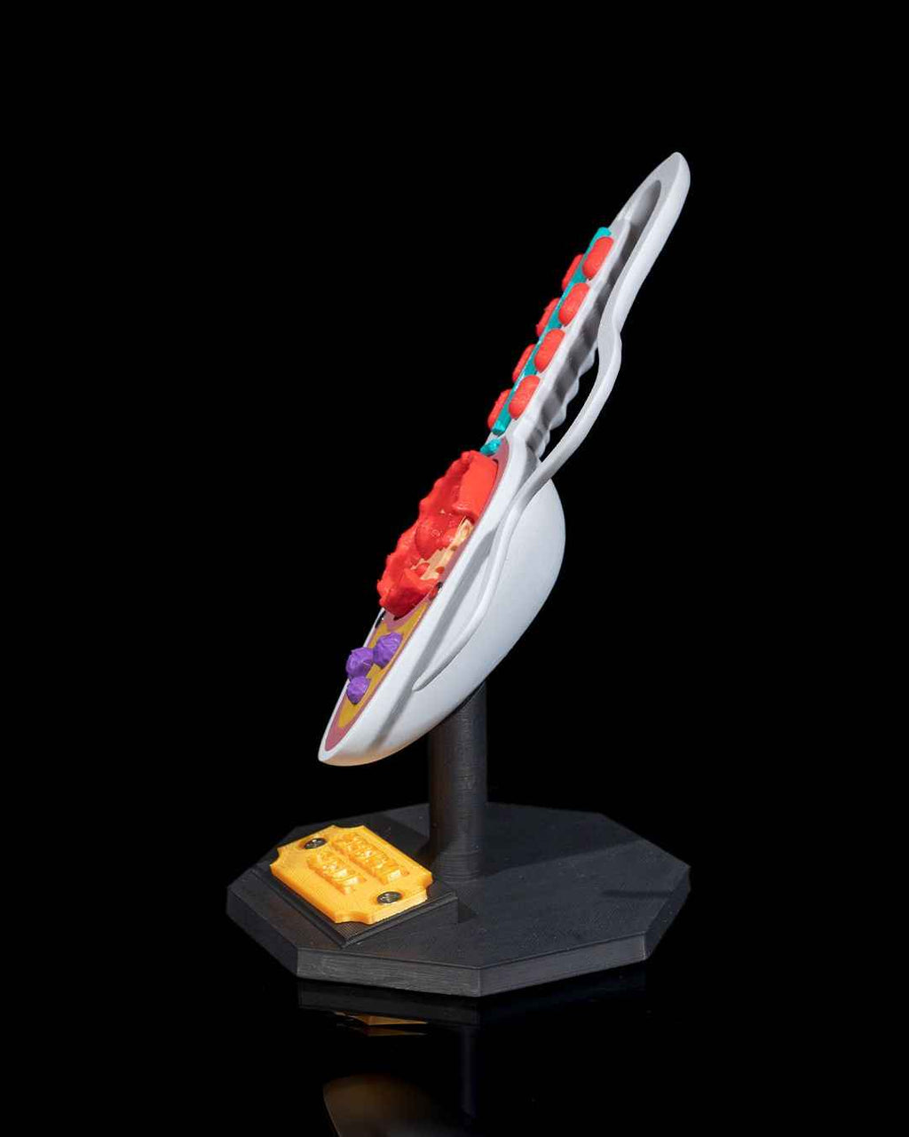 Sperm Cell educational model - Myth & Motion by The Braysdown Workshop