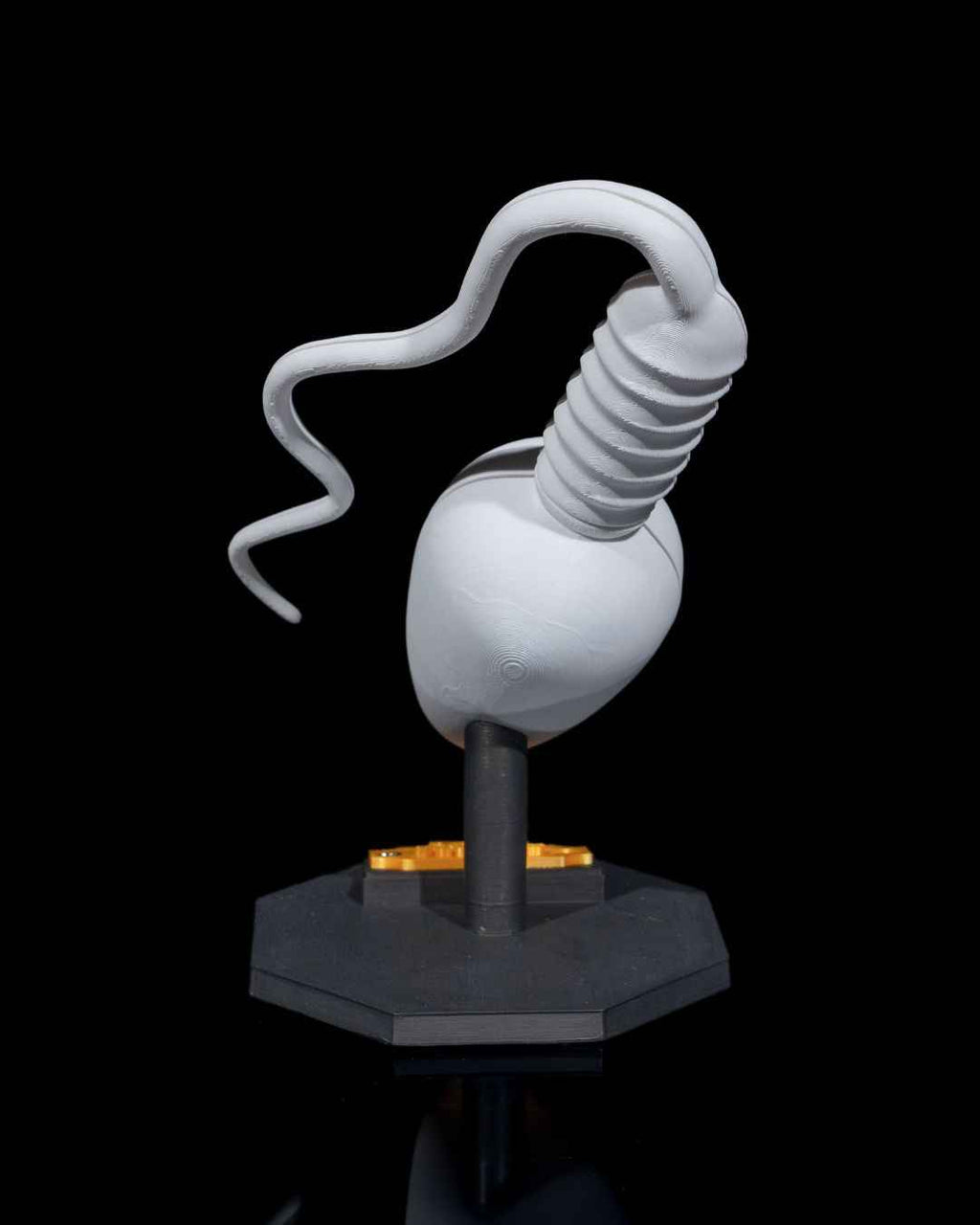 Sperm Cell educational model - Myth & Motion by The Braysdown Workshop