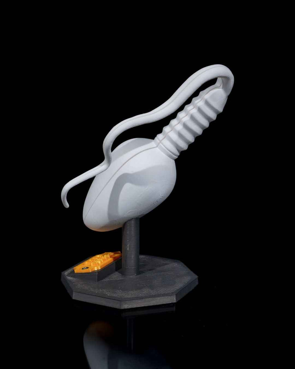 Sperm Cell educational model - Myth & Motion by The Braysdown Workshop