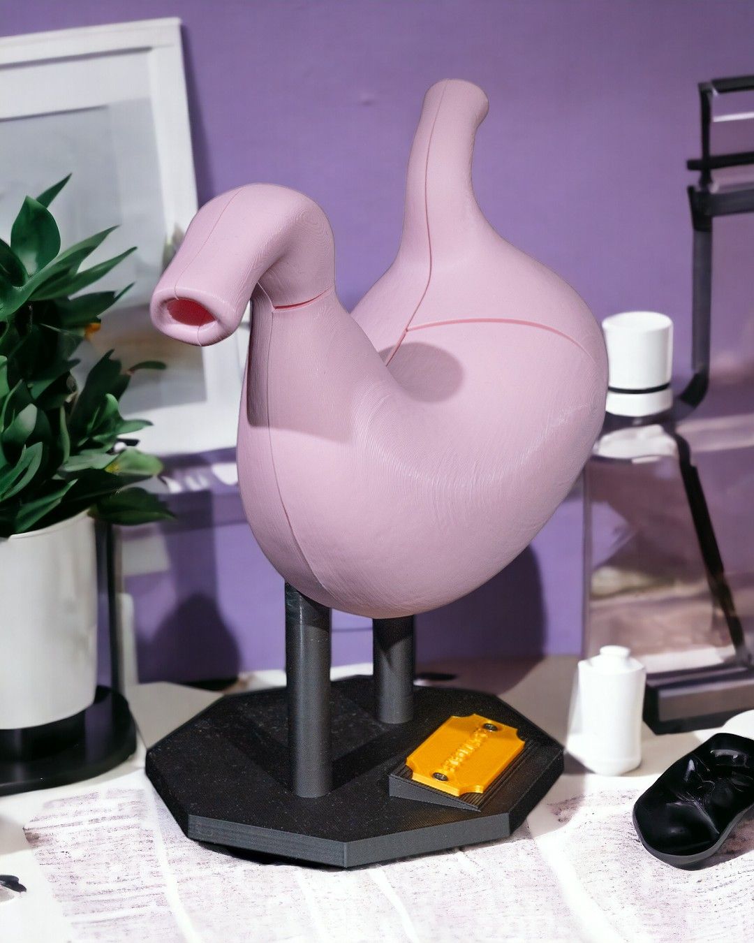 Stomach Anatomical educational model