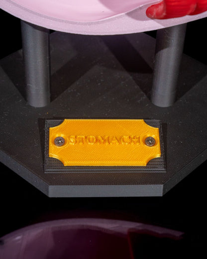 Stomach Anatomical educational model