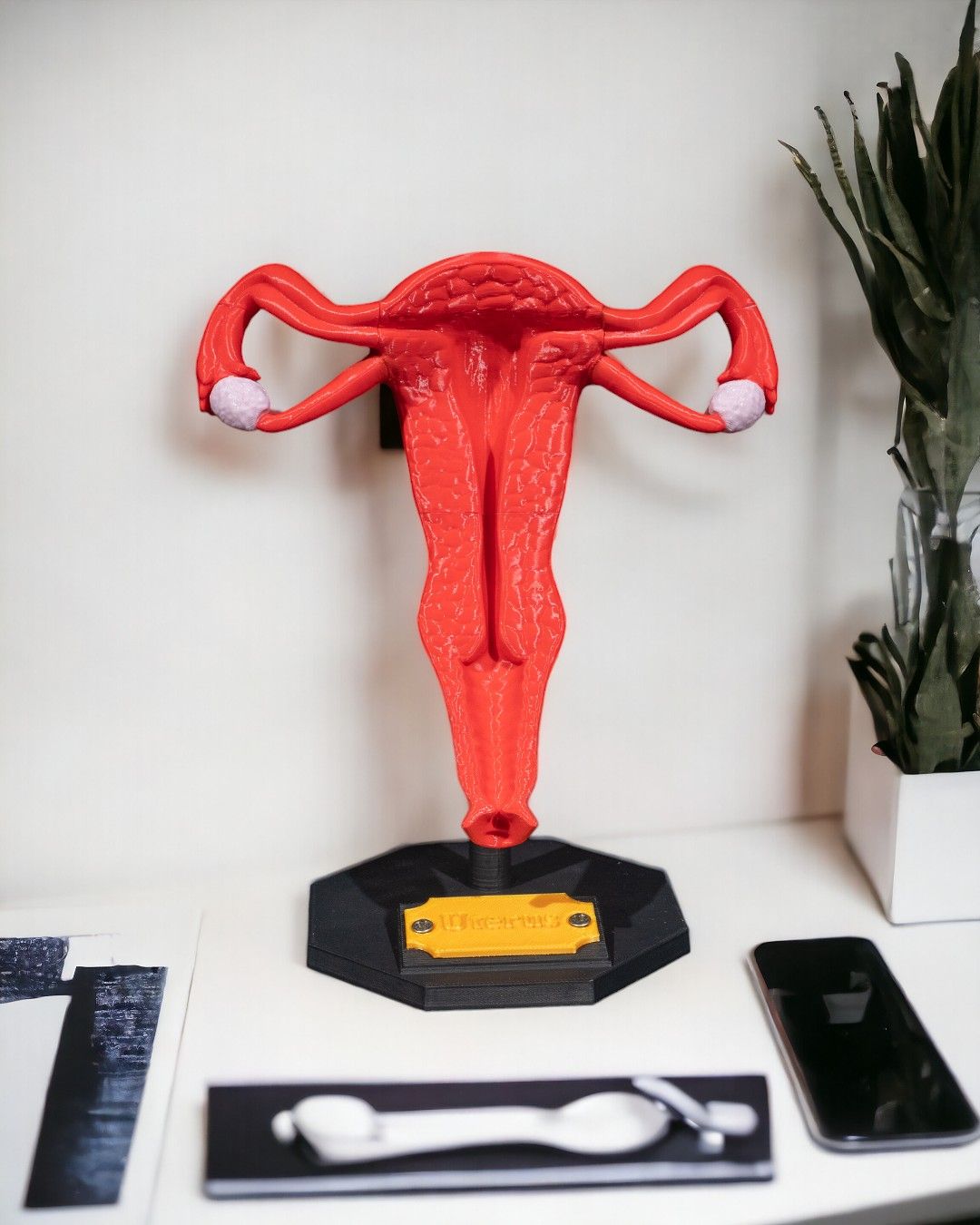 Uterus educational model