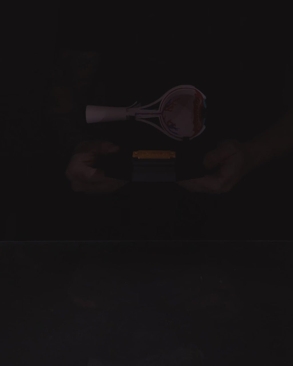 Human Eye educational model