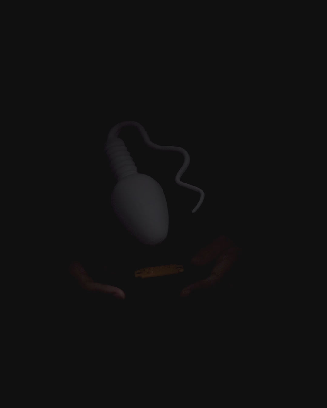 Sperm Cell educational model
