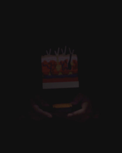 Skin Cross Section educational model